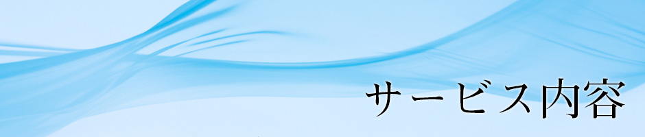 サービス内容